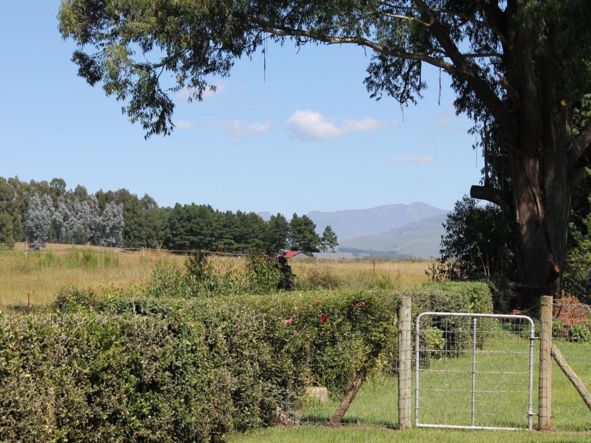 Cicada Self Catering Cottage Underberg Bagian luar foto
